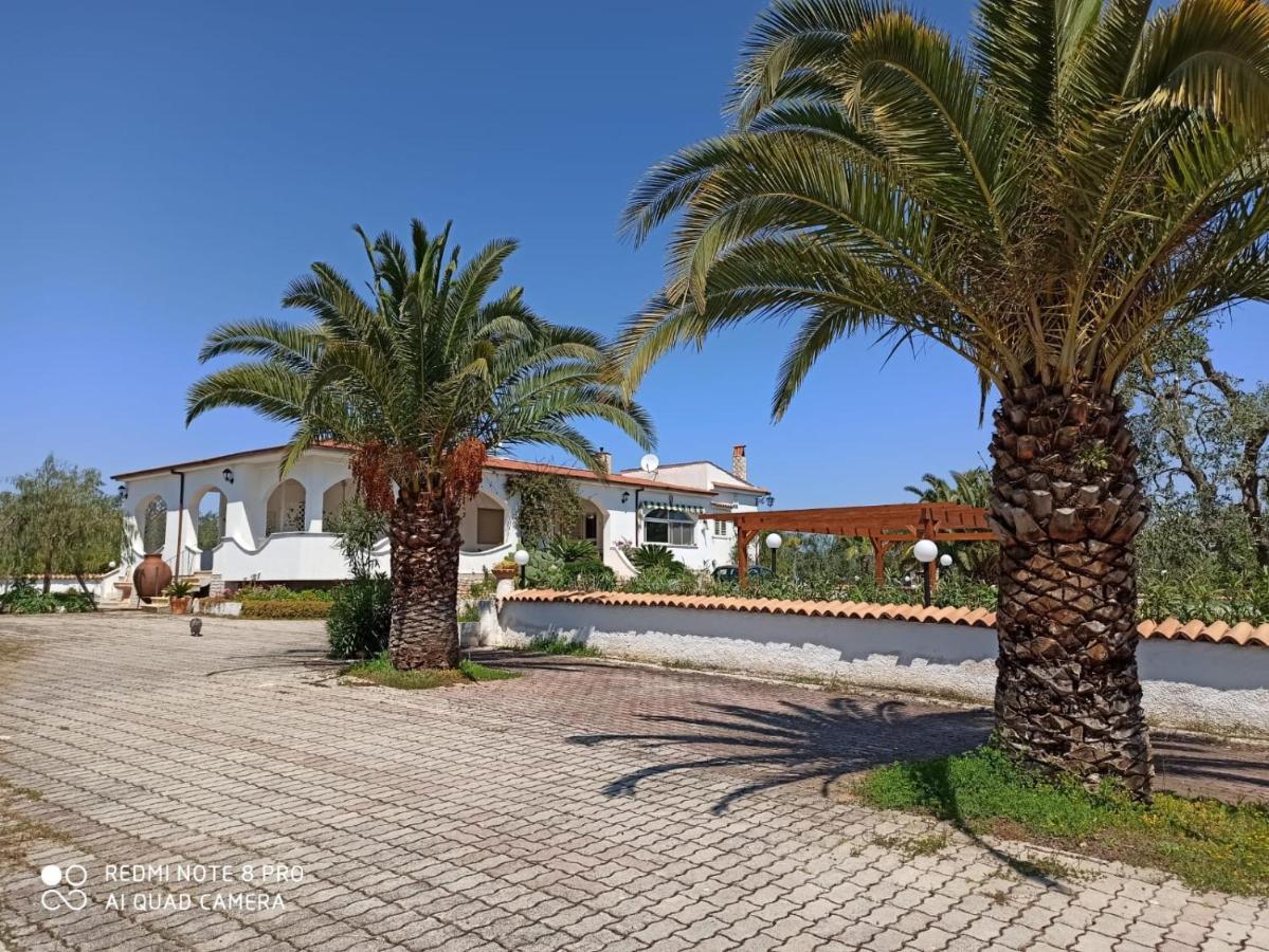 Villa Cristalda 维耶斯泰 外观 照片